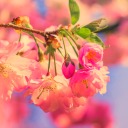 dont-x-touch-x-my-x-crayons avatar