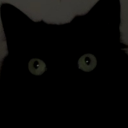 dontbeadonutaboutitxd avatar