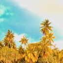 dontgetgreedy avatar