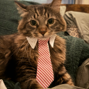 dontgotfriends avatar