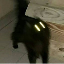 dontgowishing avatar