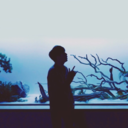 dontstop-menow avatar