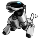 doobertle avatar