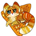 dorito-kitten avatar