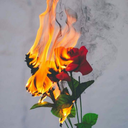 doritos-seven-zombi avatar