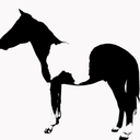 double-stuffed-oreo avatar