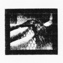 doublefuneral avatar