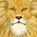 douglasbicalho avatar