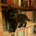 downtowngirl-rachel avatar