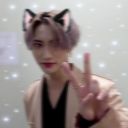 dowooncatboy avatar