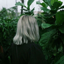 dr-cauliflower avatar