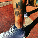 dracksasworld avatar