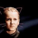 dracomalfoyisthepeasantking avatar