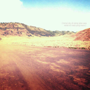 dragonflycatcher avatar