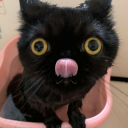 dragonsandsometimesdungeons avatar