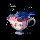 dragonscholar avatar