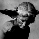 dramatic-birdie avatar