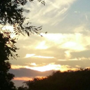 dramaticalkoala-blog avatar