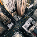 drawsandbeautynature avatar