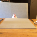 drdoofnshmirtz avatar