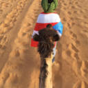 dream-big-do-big-things avatar