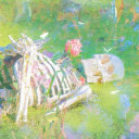 dreamilyfriedwonderland avatar