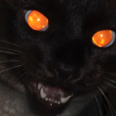 dreamquestofunknownkadath avatar