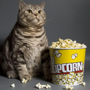 dreamsreoccurring avatar