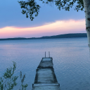 dreamthroughthestars avatar