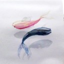 dreamymistywonder avatar