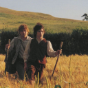 drearydaffodils avatar