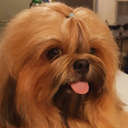 drfrankenstupid avatar