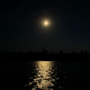 dri-ver-picks-the-mu-sic avatar