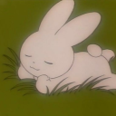 driedmandarinpeels avatar