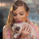 drivingagetawaycar7 avatar