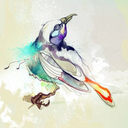 drollbird avatar