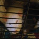 drowninginellipsis avatar