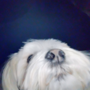 drowsycreation avatar