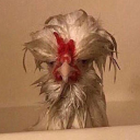 drowsydreaming123 avatar