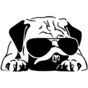 drugswithpugs avatar