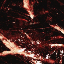 drunkestwhale avatar