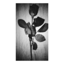 dualleinegegendiewelt avatar