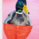 duck-official-worker-union avatar