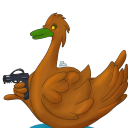 duckbang avatar