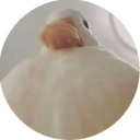 ducking-quack avatar