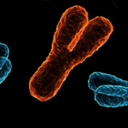 dudesthatrockmyworld avatar