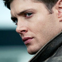 dudewheresthepie avatar