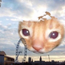 dummie-vaughn avatar