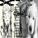 dunkinsthings avatar