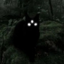 dusk-the-fallen avatar